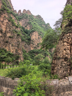 壮丽山景与繁茂植被