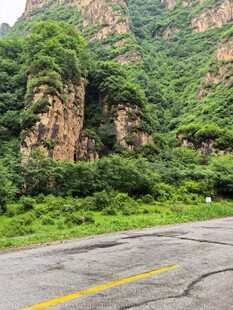 山间公路绿意盎然的风景