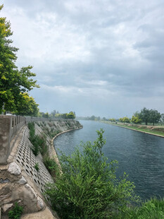 河畔绿意风景