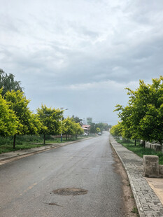 宽阔林荫路清新自然景
