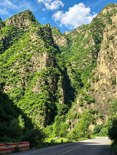 山间公路壮美绿色山峦