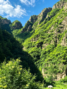 青山翠谷间的秀丽风光