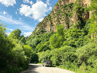 山间公路绿意盎然的美景