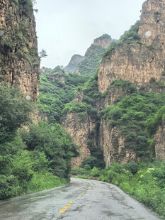 山间公路穿行于翠绿峡谷