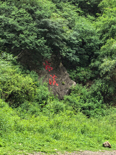 山林间的红色石刻景观