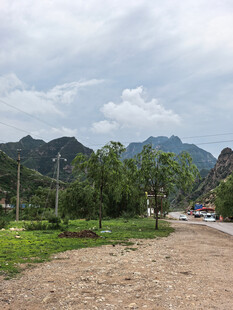乡村土路旁的秀丽自然景色