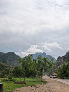 山间公路旁的绿意景致