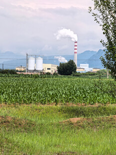 田野