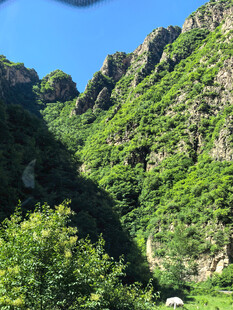 青山翠谷的秀丽自然风光