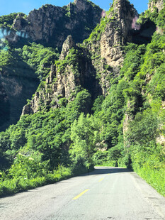 山间公路穿行于葱郁峡谷