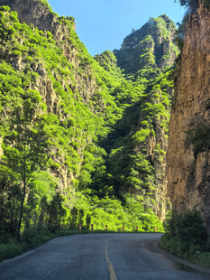 山间公路穿行于葱郁峡谷