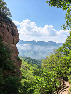 山间峭壁旁的葱郁景致
