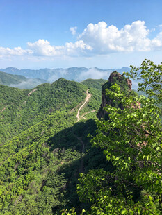 山峦绿意间的蜿蜒小路