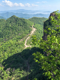 山间蜿蜒小路绿意盎然