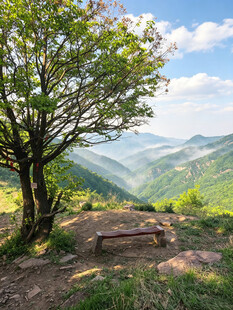 山间孤树旁的静谧风景