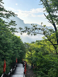 山林步道间的游客漫步