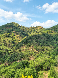青山葱郁的秀丽自然景观