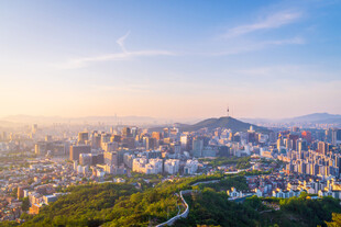 城市天际线与葱郁山林景观