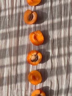 排列整齐的新鲜杏子
