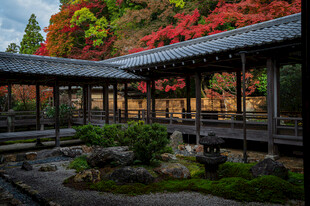 日式庭院美景