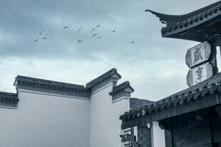 中式古建上空飞鸟景致