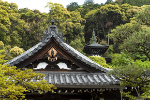 日式古建隐于葱郁山林