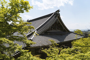 日式古建筑掩映于绿树间