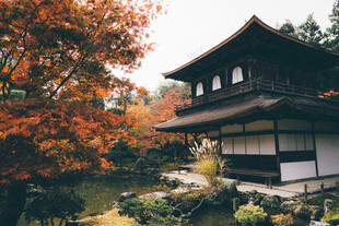 日式庭院中的古朴建筑