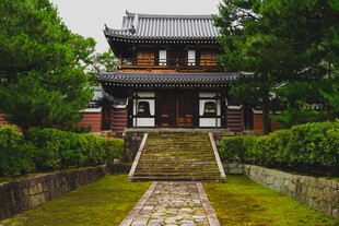 中式古建庭院清幽景致