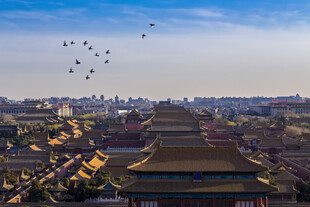 故宫鸟瞰图飞鸟掠古建筑