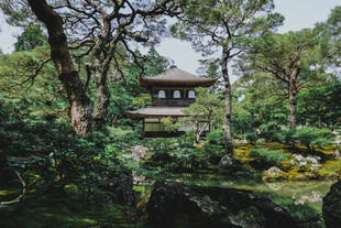 日式园林中的静谧小屋