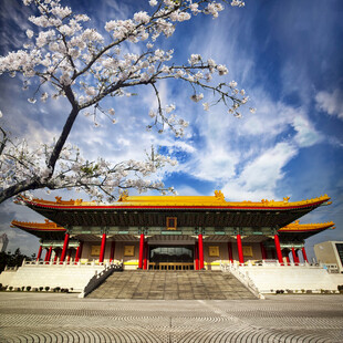樱花下的中式古建筑