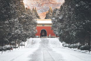 雪覆红门林间静谧景致