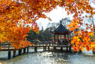 秋日湖畔古亭美景