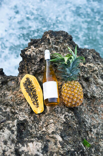 海边岩石上的菠萝与美酒