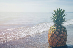 海边的菠萝