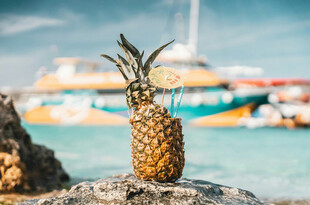 海边岩石上的金黄菠萝