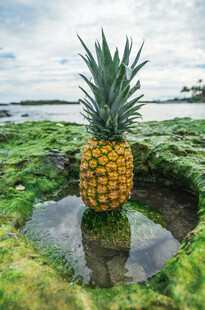 水中的金黄菠萝