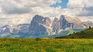 高山草甸间的壮丽山景