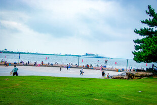 海滨草地休闲场景