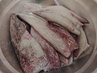 鲜鱿鱼
