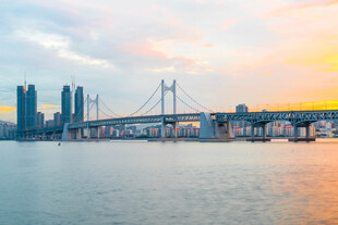 夕阳下的城市桥梁美景