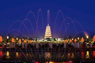 夜幕下的宝塔与喷泉景观
