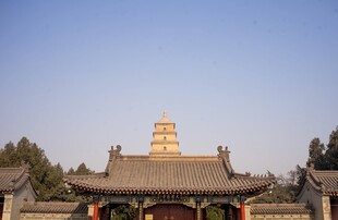 古寺宝塔景观