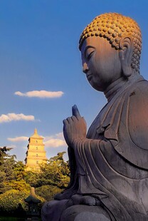 庄严佛像与背后古塔景观