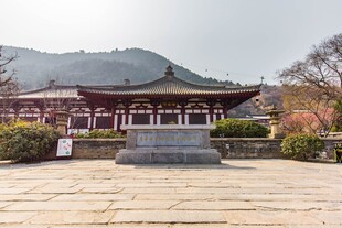 中式古建筑庭院景观