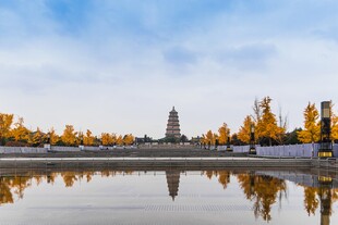 秋日湖畔古塔美景