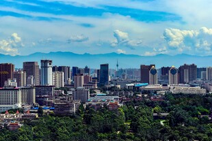 城市天际线与葱郁绿植