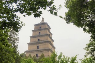 西安大雁塔 绿树环绕景致