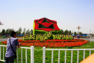 城市街头国庆主题花卉景观